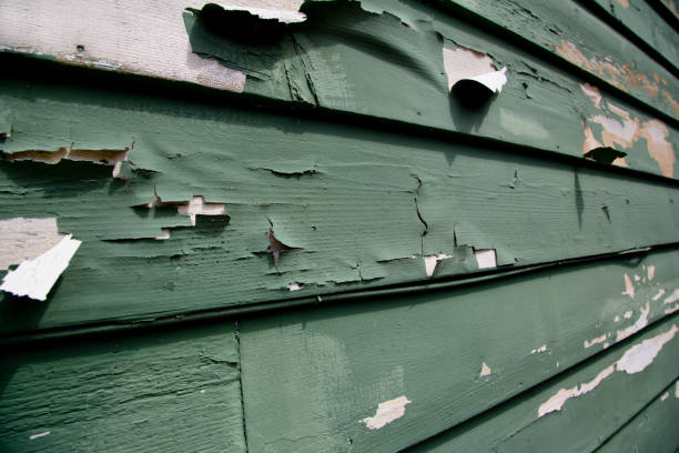 Best Siding for New Construction  in Millersburg, OH