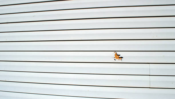 Best Stucco Siding  in Millersburg, OH