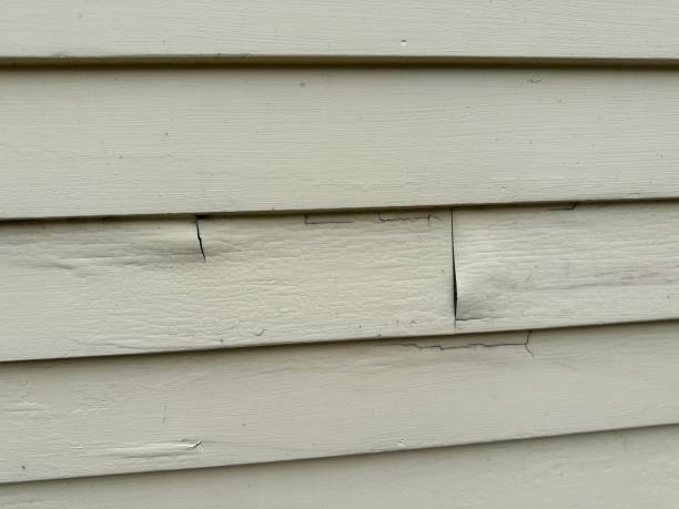 Best Historical Building Siding Restoration  in Millersburg, OH